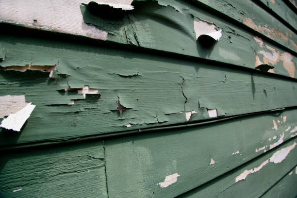 Best Weatherproofing and Sealing  in Allendale, NJ