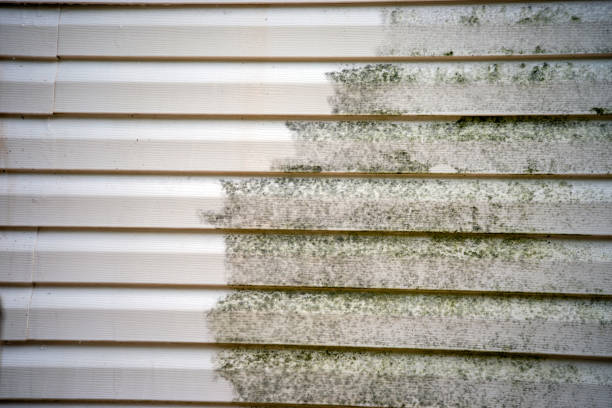 Best Siding Painting and Refinishing  in Allendale, NJ