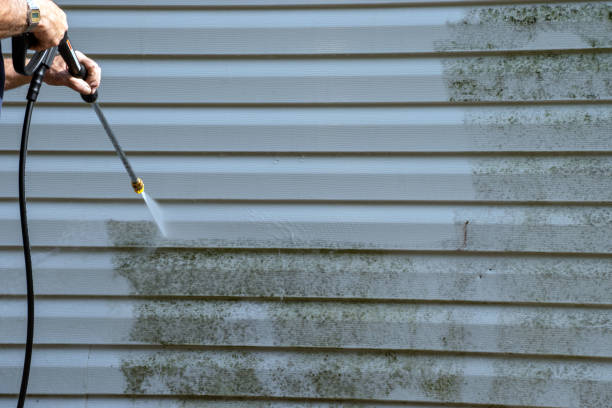 Best Stone Veneer Siding  in Allendale, NJ