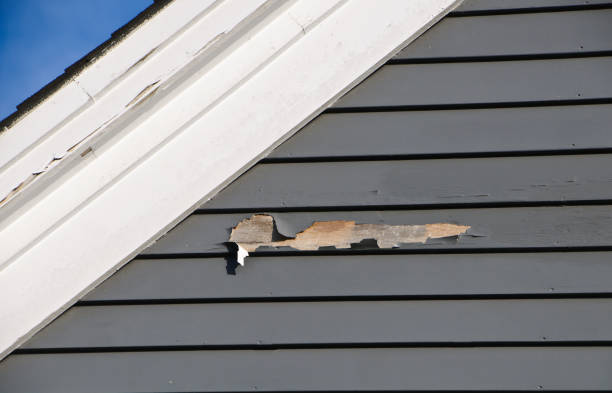 Best Steel Siding Installation  in Allendale, NJ